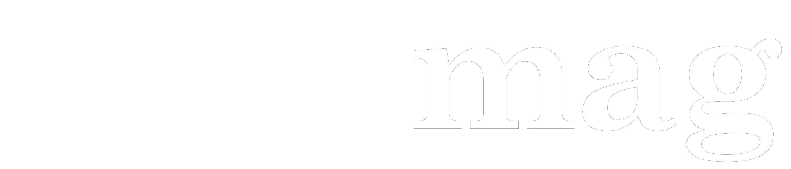 logo intermag